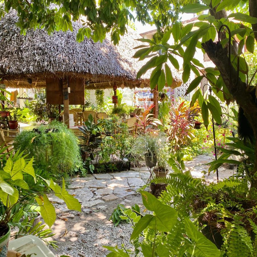 Hostal Casa Huasteca Ciudad Valles Exterior foto